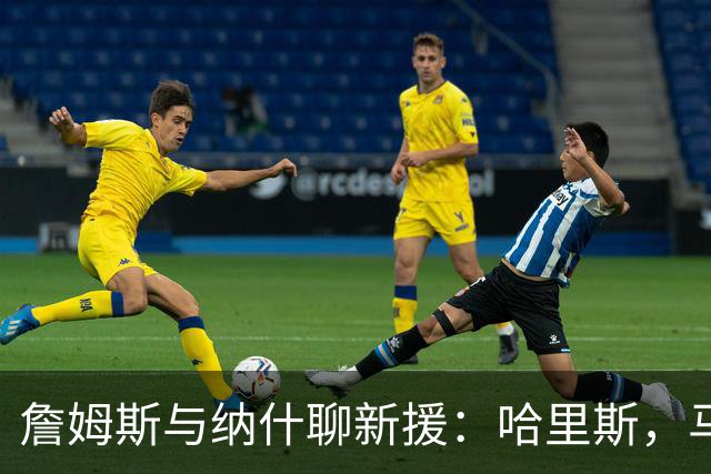 詹姆斯与纳什聊新援：哈里斯，马刺的超级“白衣骑士”！